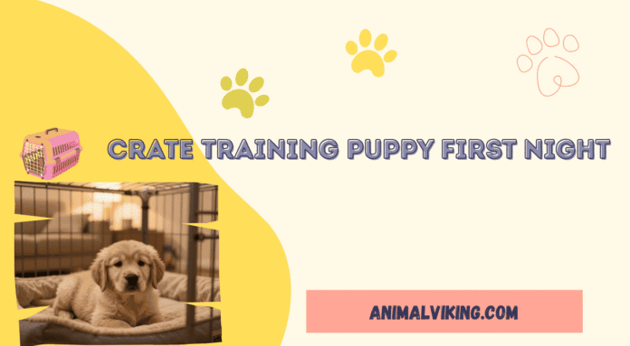crate training puppy first night